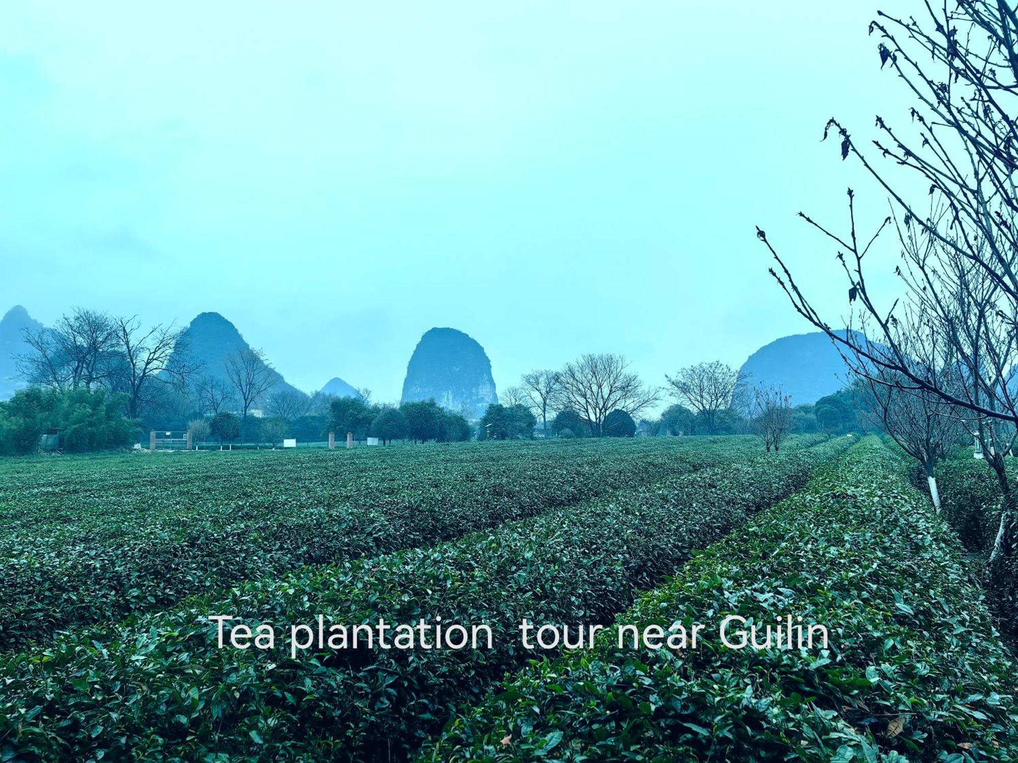 Guilin Village Creek Inn-Free Private Car Pick Up Station Stay 3 Nights Ngoại thất bức ảnh