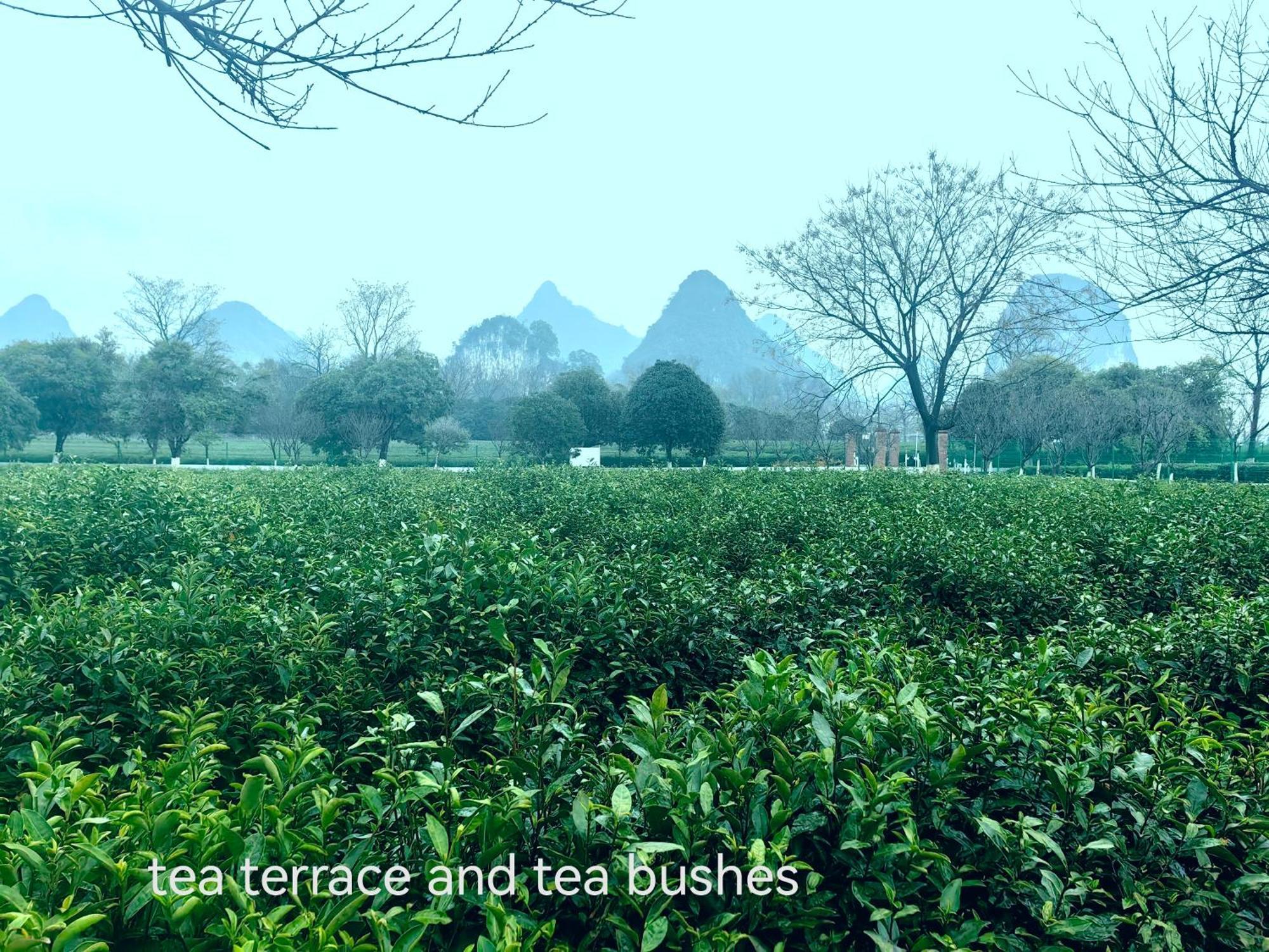 Guilin Village Creek Inn-Free Private Car Pick Up Station Stay 3 Nights Ngoại thất bức ảnh